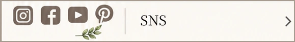 SNS