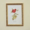  イタリア製 薔薇額絵 ゴールド枠 アクリル板（ローズ・レッド）花