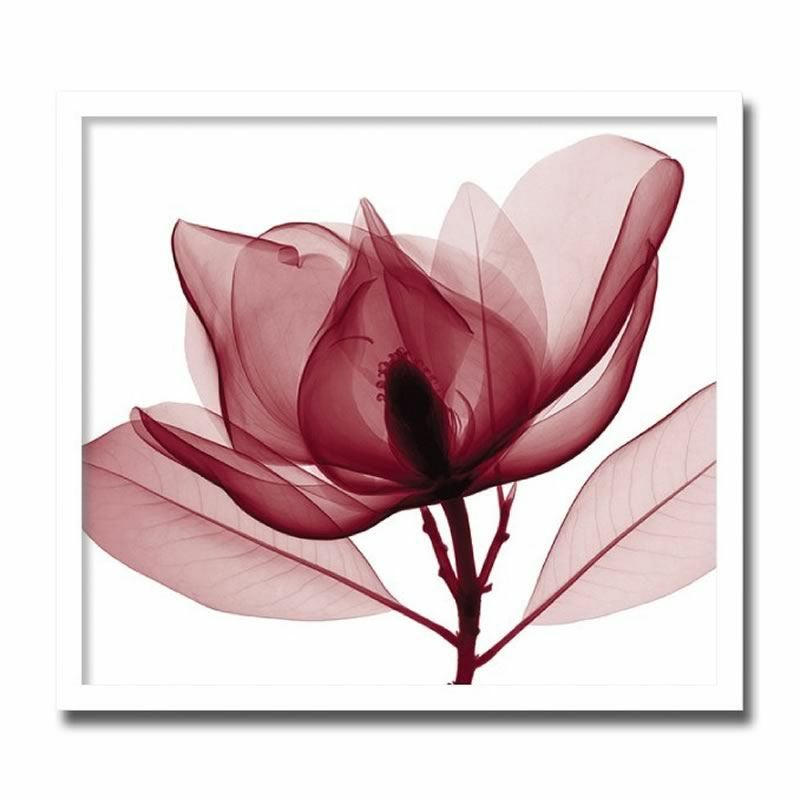 アートパネル X-rey 写真 Red Magnolia 赤いモクレン 花 アート