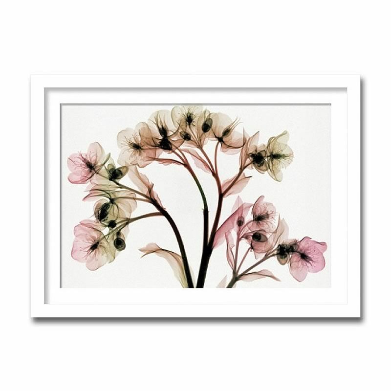 アートパネル X-rey 写真 Hellebore II クリスマスローズ 花 アート