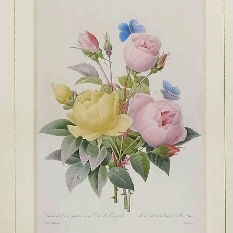 お得な2枚セット】ルドゥーテ ローズ 絵額 複製画 『 美花選 ローズ