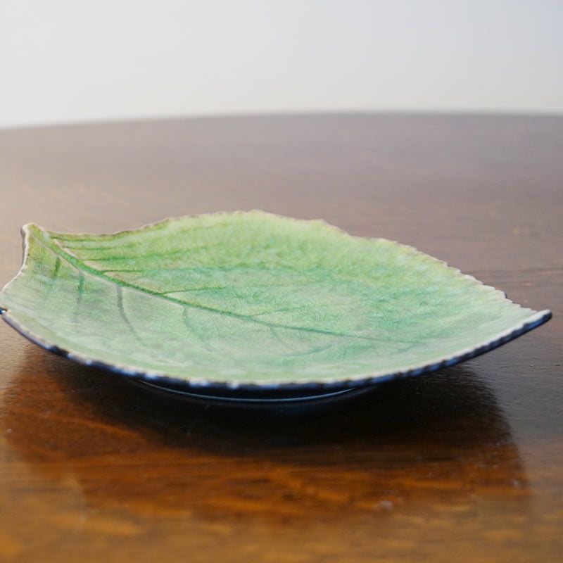 コスタノバ COSTA NOVA リビエラ RIVIERA ハイドランジアリーフ22cm