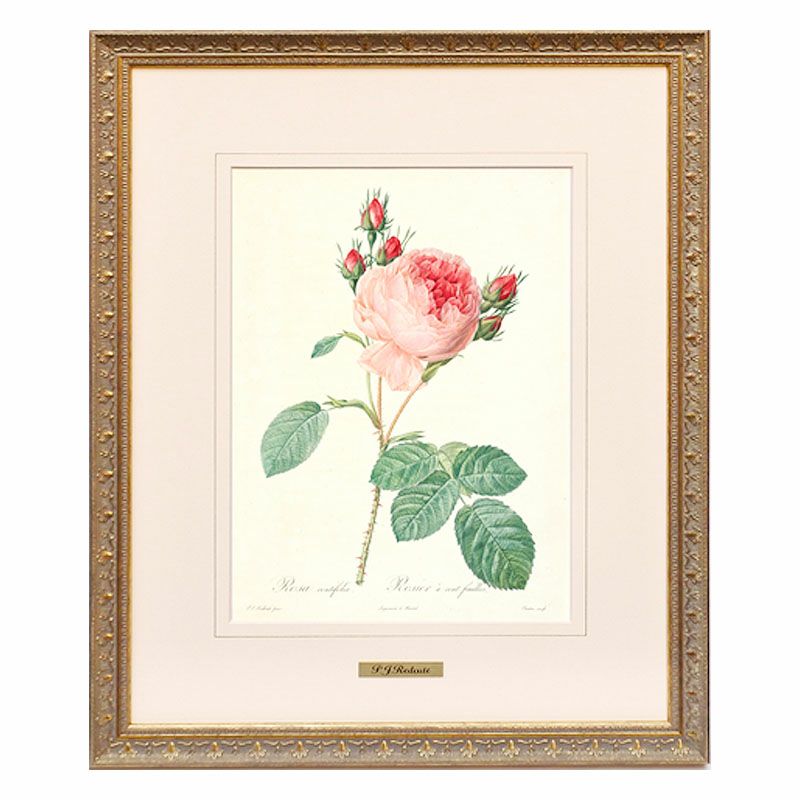 輸入家具・雑貨の専門店木楽館｜薔薇雑貨 通販