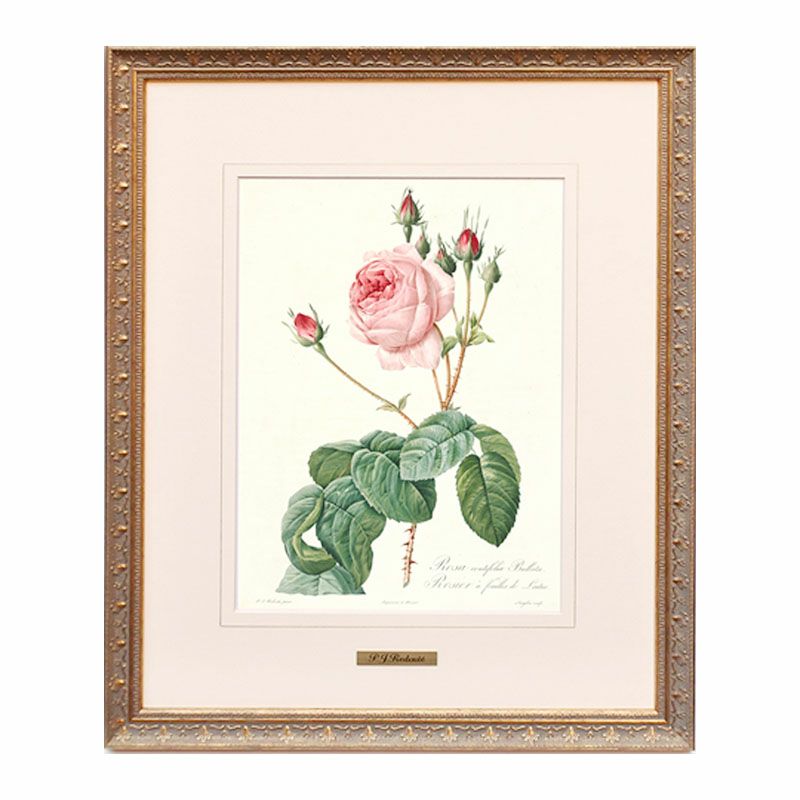 薔薇雑貨 | 輸入家具・雑貨の専門店 e木楽館 【公式】