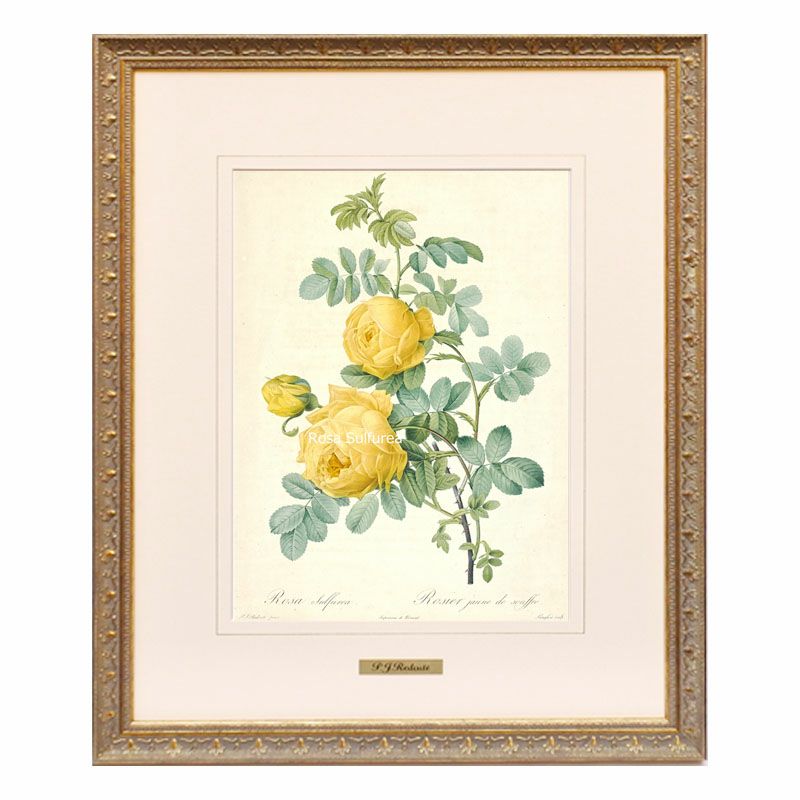輸入家具・雑貨の専門店木楽館｜薔薇雑貨 通販