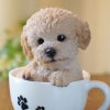 犬 置物 ドッグオーナメント トイプードル 雑貨 カップ 置物 オブジェ 犬雑貨 かわいい いぬの置物