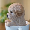 犬 置物 ドッグオーナメント トイプードル 雑貨 カップ 置物 オブジェ 犬雑貨 かわいい いぬの置物