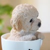 犬 置物 ドッグオーナメント トイプードル 雑貨 カップ 置物 オブジェ 犬雑貨 かわいい いぬの置物