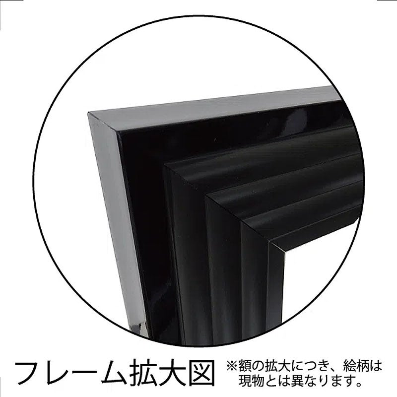 鏡 壁掛け 全身 大型ミラー デコラティブ ロング (ブラック) 姿見 壁掛け ミラー 鏡 面取り 姿見ミラー